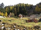 Motoalpinismo PASSO DORDONA - 035